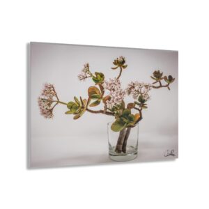 Botanical Peace Acrylic Print