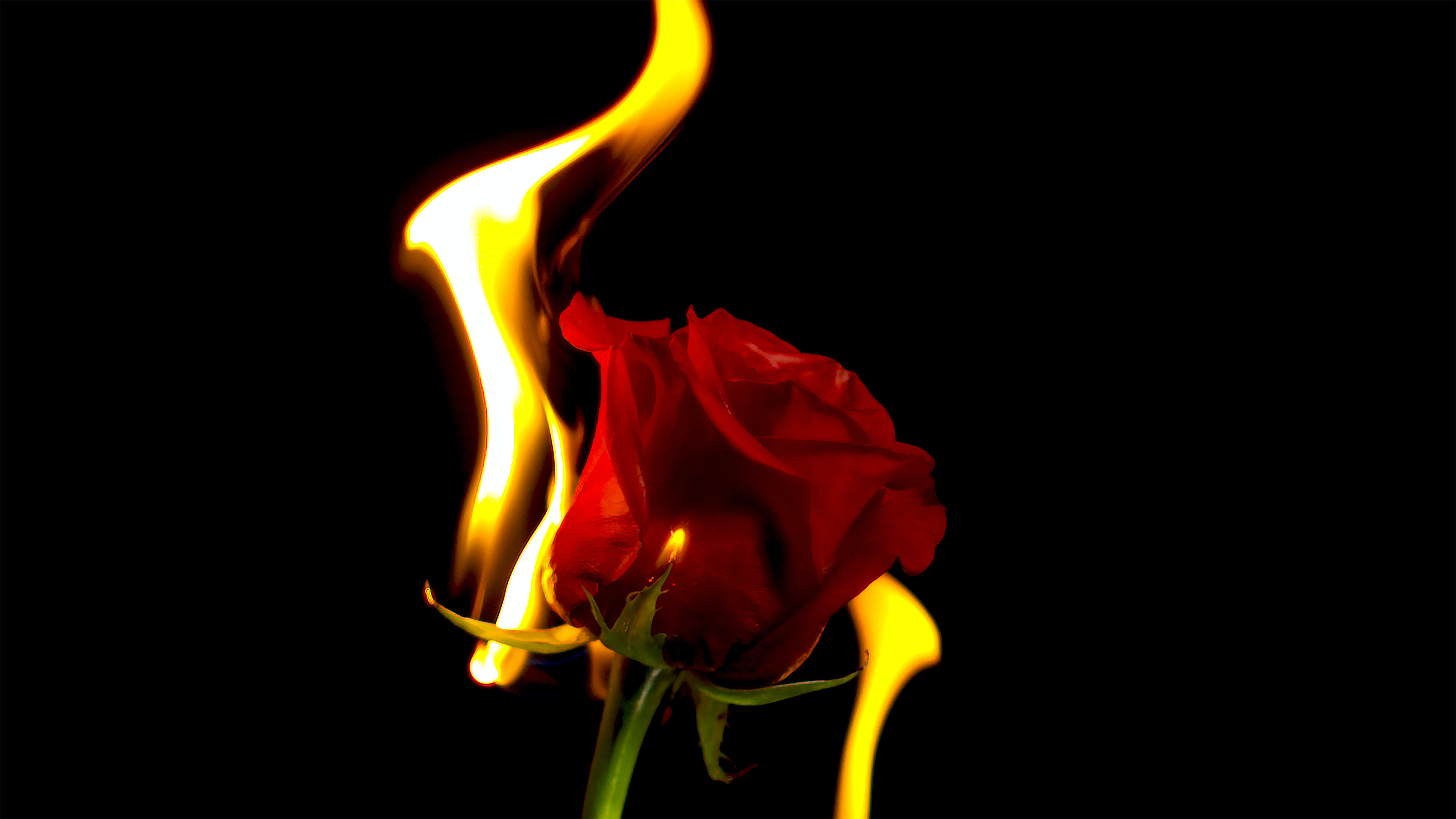 burning-desire-zach-vessels-NxTs_QPtA6M-unsplash